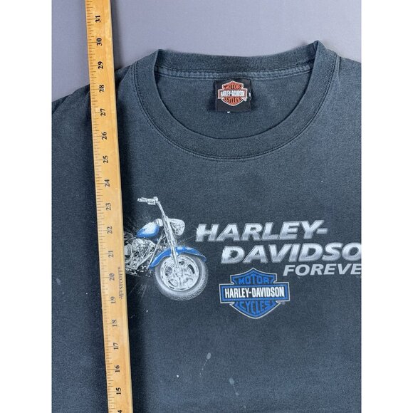 Rare Vintage Y2K Harley Davidson San Jacinto Pasadena Texas Thrashed Faded Large - Picture 12 of 12